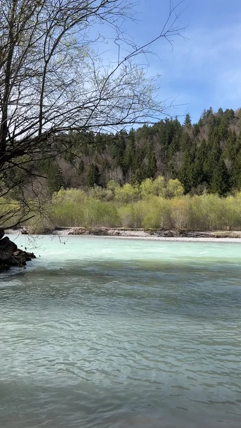 Tranquil Alpine River View near Neuschwanstein, German-Austrian Border Stock Footage 311264698
