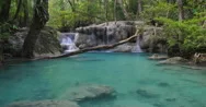 Tranquil And Beautiful Landscape Of Jungle Rain Forest With Natural Emerald Pool Stock Footage