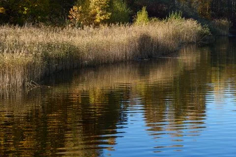 Tranquil autumn landscape 库存照片