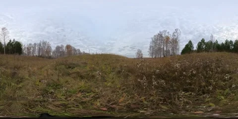 Tranquil autumn meadow sprawling under overcast skies, golden dry grass blending Stock Footage 308573205