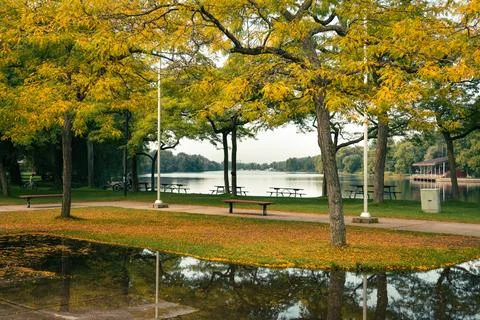 A tranquil autumn scene with trees reflecting in the water by the lake. Stock Photos