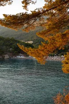 Tranquil Bay with Pine Trees and Hills Stock Photos