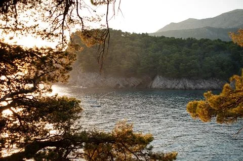 Tranquil Bay at Sunset with Pine Trees and Cliffs Stock Photos