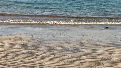The tranquil beach is complemented by gentle waves that lap softly against the Stock Photos