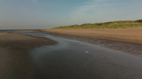 Tranquil Beach Landscape with Soft Sand and Gentle Tides Stock Footage 295947937
