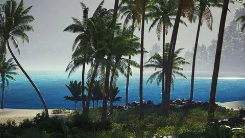 Tranquil beach with palm trees and blue ocean under a foggy sky Illustration