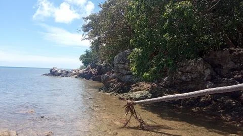 A Tranquil Beach Stock Photos