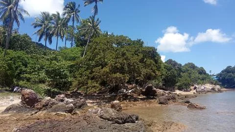 A Tranquil Beach Stock Photos