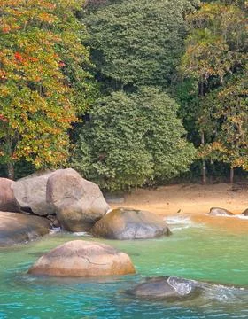 Tranquil Beach with Rocks and Trees in Paraty, Brazil Fotos Stock
