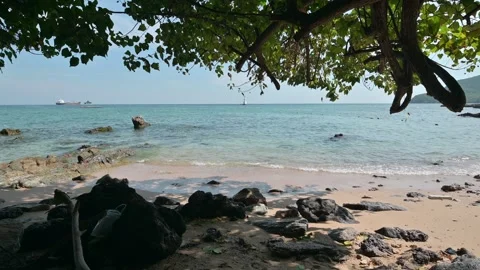 Tranquil Beach Scene with Clear Blue Water and Rocky Shoreline Stock Footage 296480231
