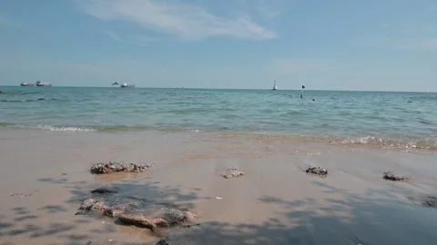 Tranquil Beach Scene with Gentle Waves and Distant Ships Stock Footage 296479661