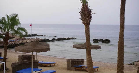 Tranquil beach scene with palm trees and straw umbrellas in Egypt Stock Footage 315335597