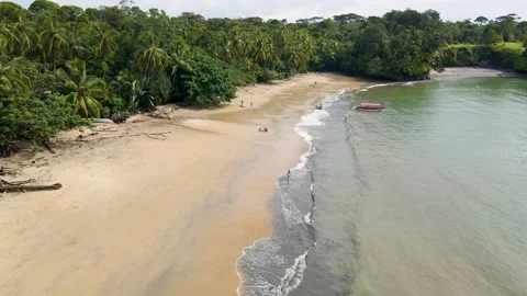 Tranquil Beach Scene with Palm Trees in Buenaventura Stock-Footage 330278545