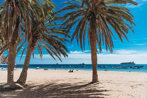 Tranquil beach scene with palm trees and ships under a bright blue sky Stock Photos