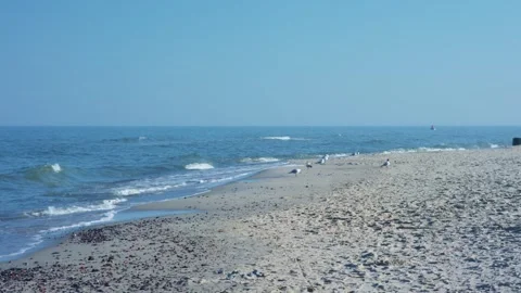 A tranquil beach scene with seagulls gliding and gentle waves lapping in warm Video stock 304730067