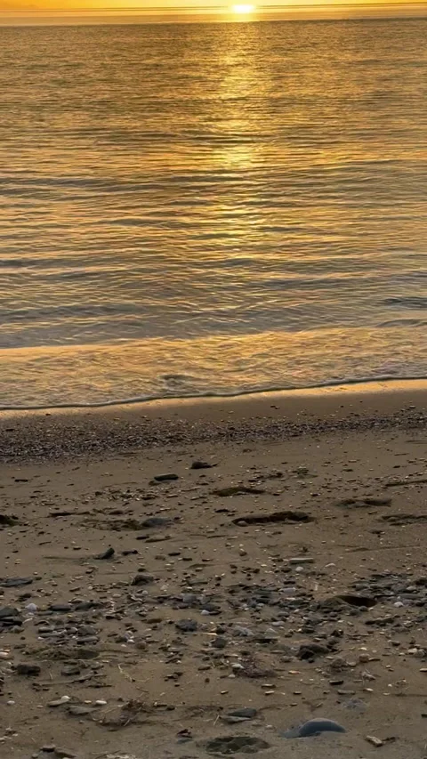 A tranquil beach scene at sunset, featuring scattered shells Video stock 314070814