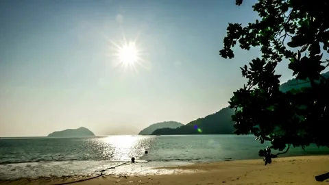 Tranquil Beach Scene at Sunset with Silhouetted Figures Video stock 310244133