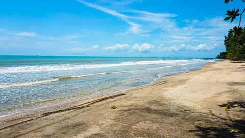 Tranquil Beach Scene Under Clear Blue Sky Fotos Stock