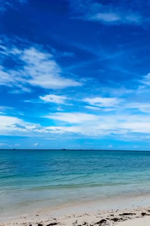 Tranquil Beach Shines Under Clear Blue Sky. Stock Footage 320456906