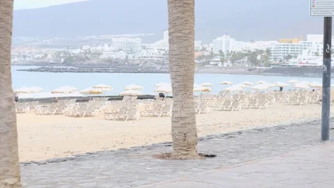 Tranquil Beach View with Palm Trees and Sun Loungers Stock Footage 315769305