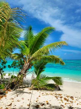 Tranquil beach on the way to to Anse Source D'Argent on La Digue island in .. Stock Photos