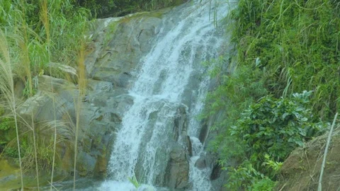 The Tranquil Beauty of a Flowing Waterfall Stock Footage 280527612