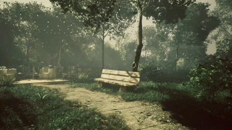 Tranquil bench among trees in a charming garden setting Stock Footage 339630802