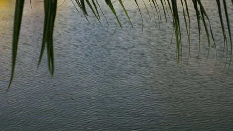 Tranquil blue rippled water surface texture Video stock 328335649