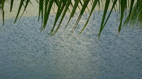 Tranquil blue rippled water surface texture Stock Footage 328335657
