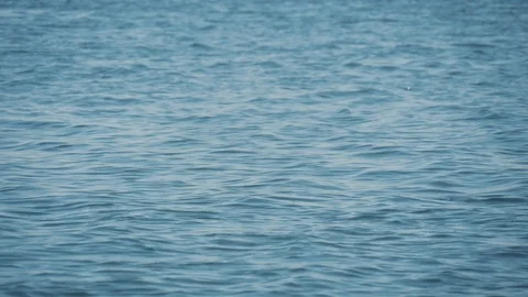 Tranquil blue surface of water the sea. Calm summer background Vidéo 111157301