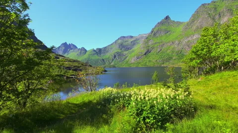Tranquil blue waters mirror towering green mountains under a clear sky, cre.. Stock Footage 297119474