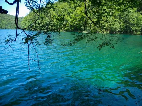 Tranquil blue waters under lush greenery Stock Photos