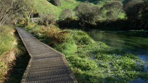 Tranquil boardwalk next to pristine Te Waihou Bue Spring in New Zealand Video stock 94844933