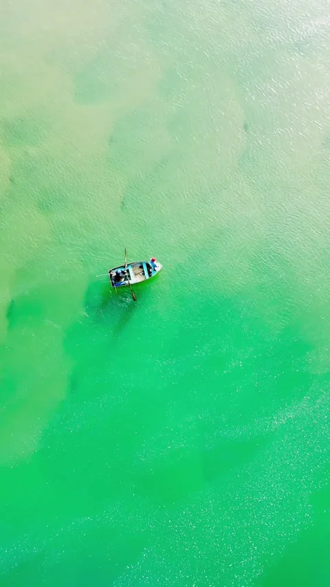 Tranquil boat Stock Footage 313405512