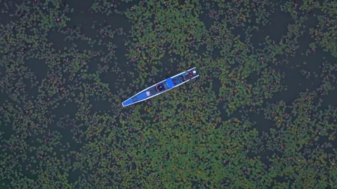 Tranquil boat gliding through vibrant lotus flowers in Thailand Stock-Footage 306693214