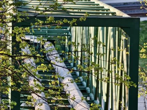 Tranquil Bridge With Foliage And River View. Sunlit Pedestrian Bridge Frame.. Stock Photos