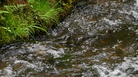 A Tranquil Brook and its Tiny Waterfalls Stock Footage 242771031