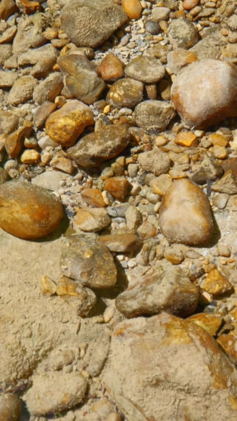 Tranquil brook in a forest glides over round pebbles and moss-covered rocks i Stock Footage 308305927