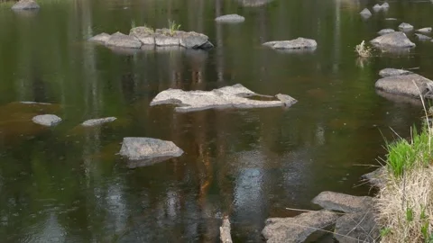 A tranquil calm river with scattered rocks and gentle rain ripples Video stock 318196341