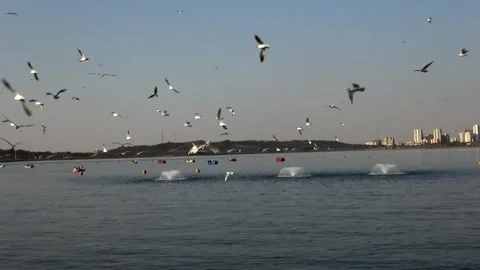 A tranquil of Chitgar Lake capturing the graceful sea, stock footage. Stock Footage 304783849