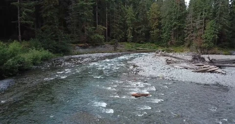 Tranquil Clear River Bend in Evergreen Washington Forest - Aerial Tracking Stock Footage 94833285