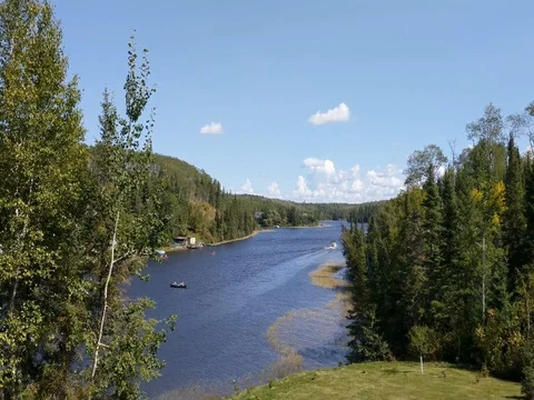 Tranquil Clip of a River Surrounded by Woodlands Stock Footage 80165249
