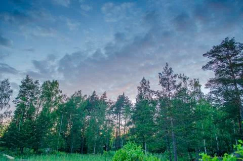 Tranquil cloudscape above the forest side in Sweden during the sunset Stock Photos