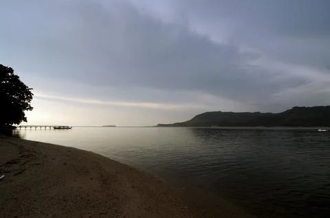 Tranquil coast at sunset with lush trees and calm water 写真素材