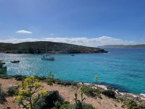 Tranquil Coastal Landscape with Blue Sky and Flowering Trees on Comino Island Stock Photos