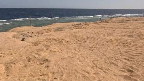 Tranquil Coastal Landscape: Captivating Views of Sandy Shoreline Meeting The Stock Footage 330184345