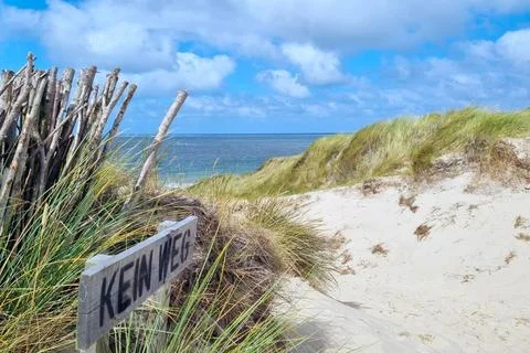Tranquil Coastal Pathway with Rustic Sign and Sandy Dunes under Blue Sky Stock Photos