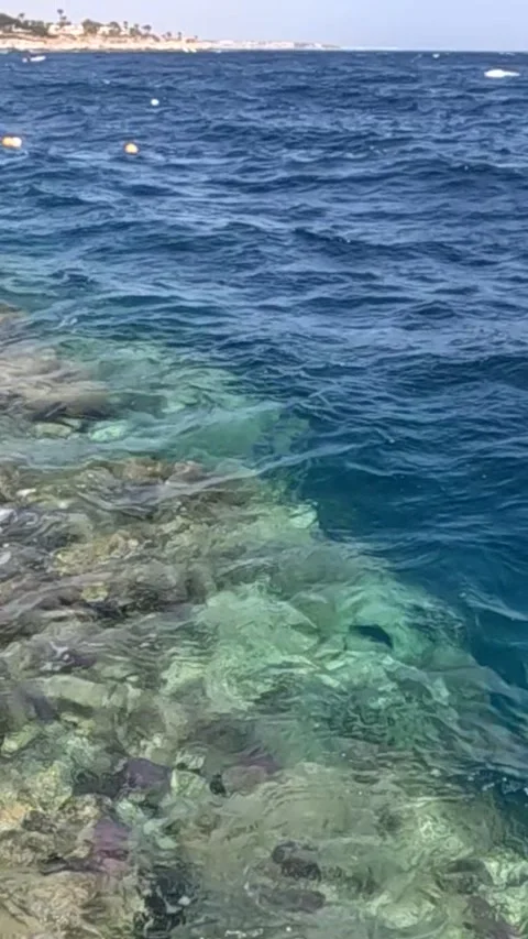 A Tranquil Coastal View Showcasing Crystal-Clear Waters and Vibrant Coral Reefs 库存影片 330096844