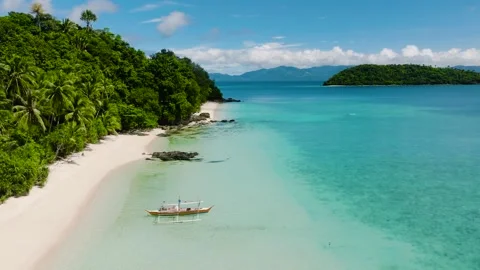 Tranquil coastline with turquoise waters and trees. Philippines. Stock Footage 308764273