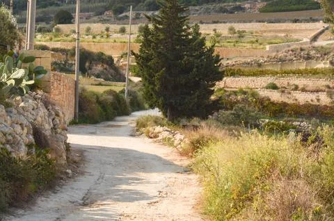 Tranquil Countryside Path A Walk Through Rural Beauty Stock Photos